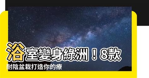 適合浴室的植物|浴室風水放什麼植物？室內植物專家授你活用植物提升居家生活品。